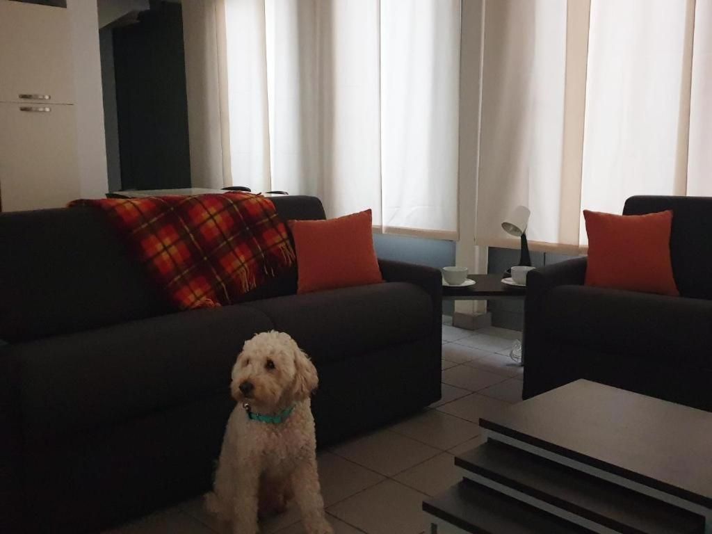 Una sala de estar con un sofá, una mesa de centro y un perro.