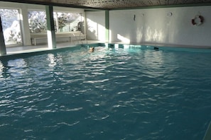 Una piscina interior con agua cristalina, un perro nadando y vistas al exterior a través de amplias ventanas.