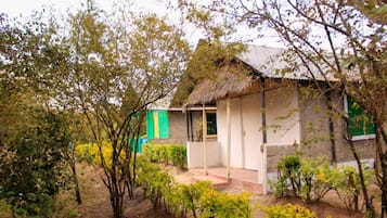 Un pequeño edificio de una sola planta con techo de paja, rodeado de vegetación y un sendero de tierra.