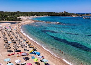 Beach - New Listing (Aglientu)