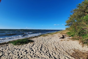 A sandy beach with footprints leading to the water, a clear sky, and a line of trees. - Thatched house "Lütt Matten" (Zierow)