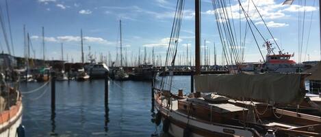 A marina with multiple boats docked, calm water, and a clear sky.