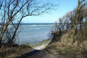 A coastal path with trees and a view of the sea. - Holiday home with 1 bedroom (Kaltenhof (Insel Poel))
