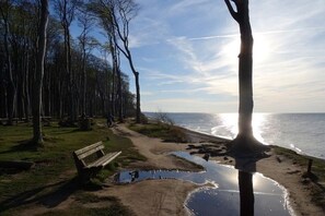 Ein Küstenpark mit einer Bank, Bäumen und einem Pfad zum Strand.