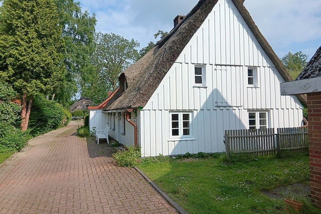 Eksteriør