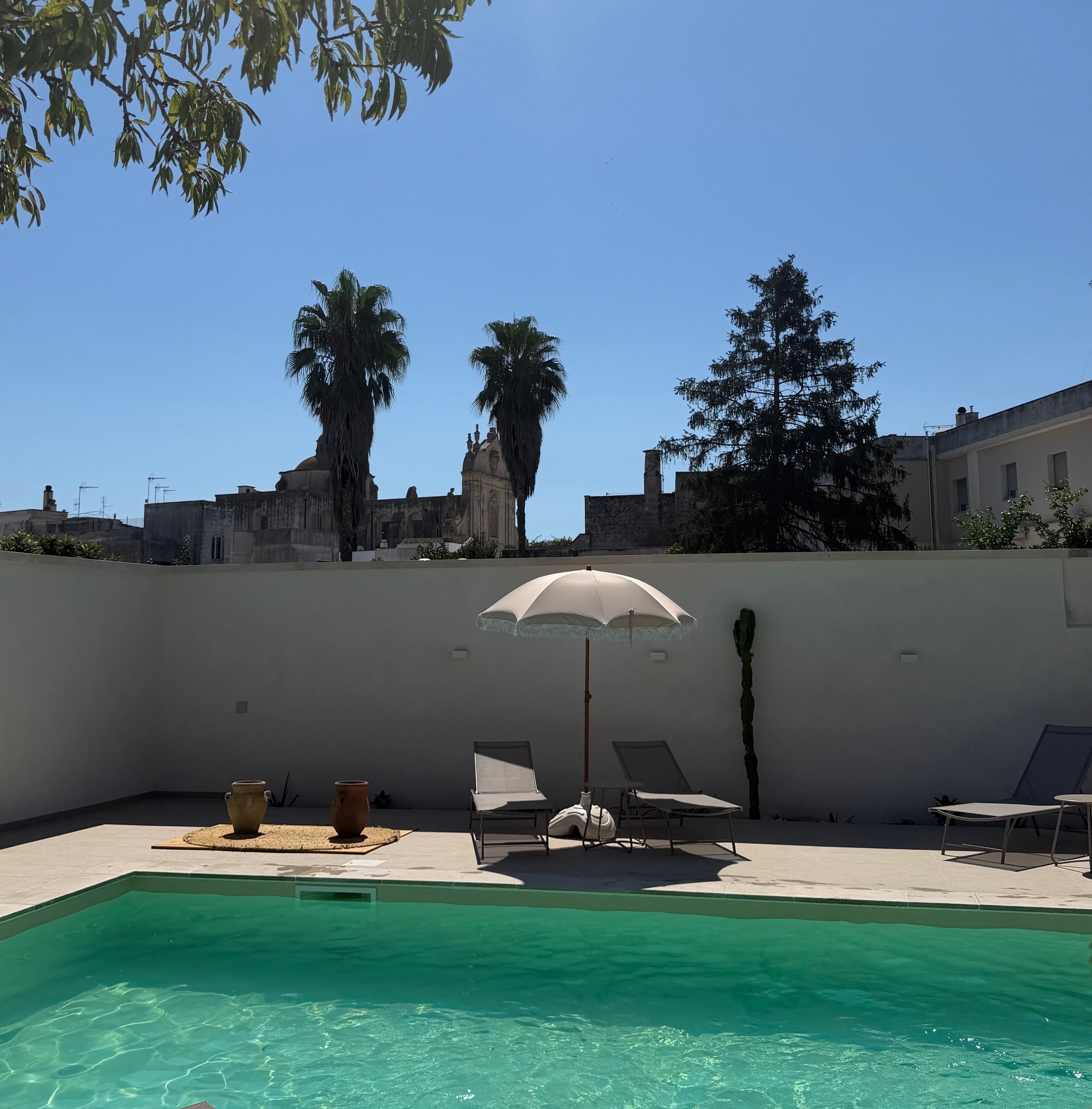 A swimming pool with lounge chairs and a cactus, surrounded by a low wall and palm trees.