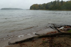 A beach with a fallen tree and a forest in the background. - Holiday home with 2 bedrooms (Alt Globsow)