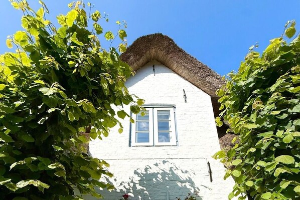 A white building with a thatched roof, surrounded by greenery. - Holiday home in Wyk on Föhr with terrace (Wyk auf Föhr)
