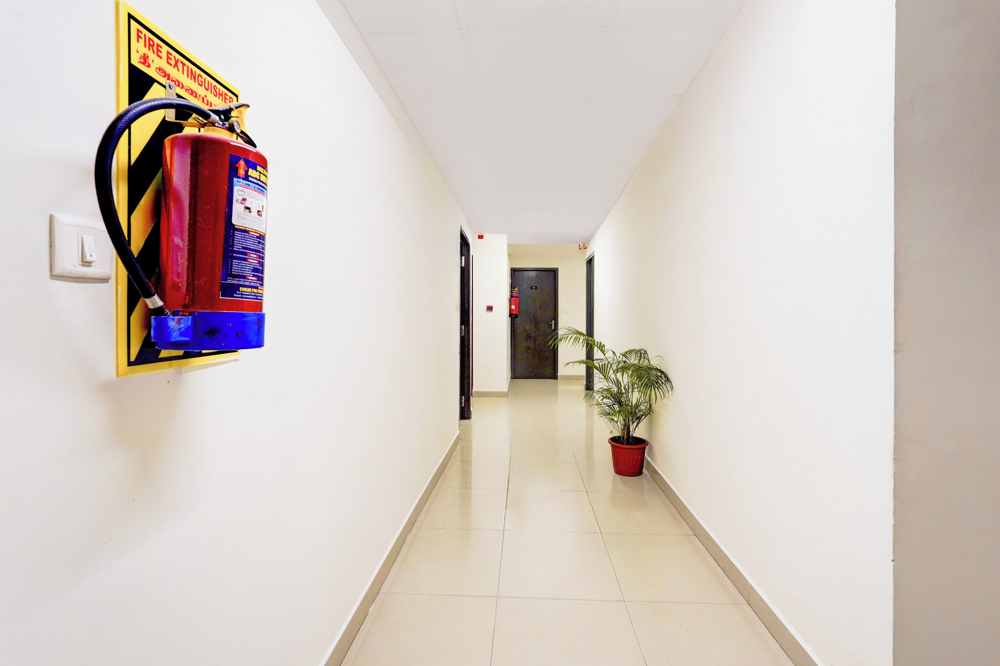 Un pasillo con un extintor fijado en la pared, una planta en maceta y una puerta al final.