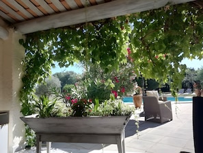Un espace extérieur aménagé en terrasse, avec une piscine, des chaises longues et des plantes en pot.