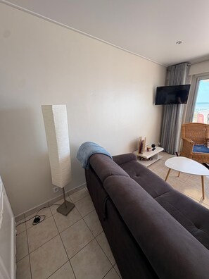 Ein modernes Wohnzimmer mit einem dunklen Sofa, einem Flachbildfernseher, einer Stehlampe und einem Korbstuhl.