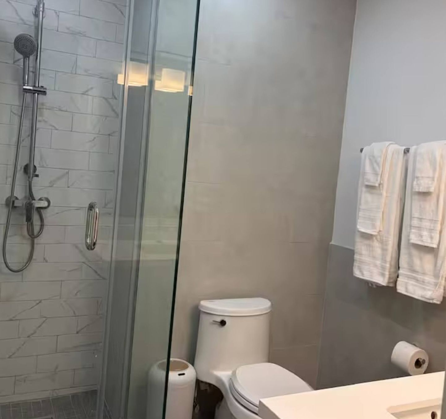 A modern bathroom with a glass shower enclosure, a toilet, and a towel rack.