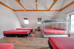 A dormitory room with bunk beds, a skylight, and a window. - Farmhouse Retreat for 20 Guests in Snelrewaard (Snelrewaard)