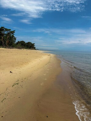 Ein sandiger Strand mit Fußabdrücken, die zum Wasser führen, Bäume im Hintergrund und ein klarer Himmel.