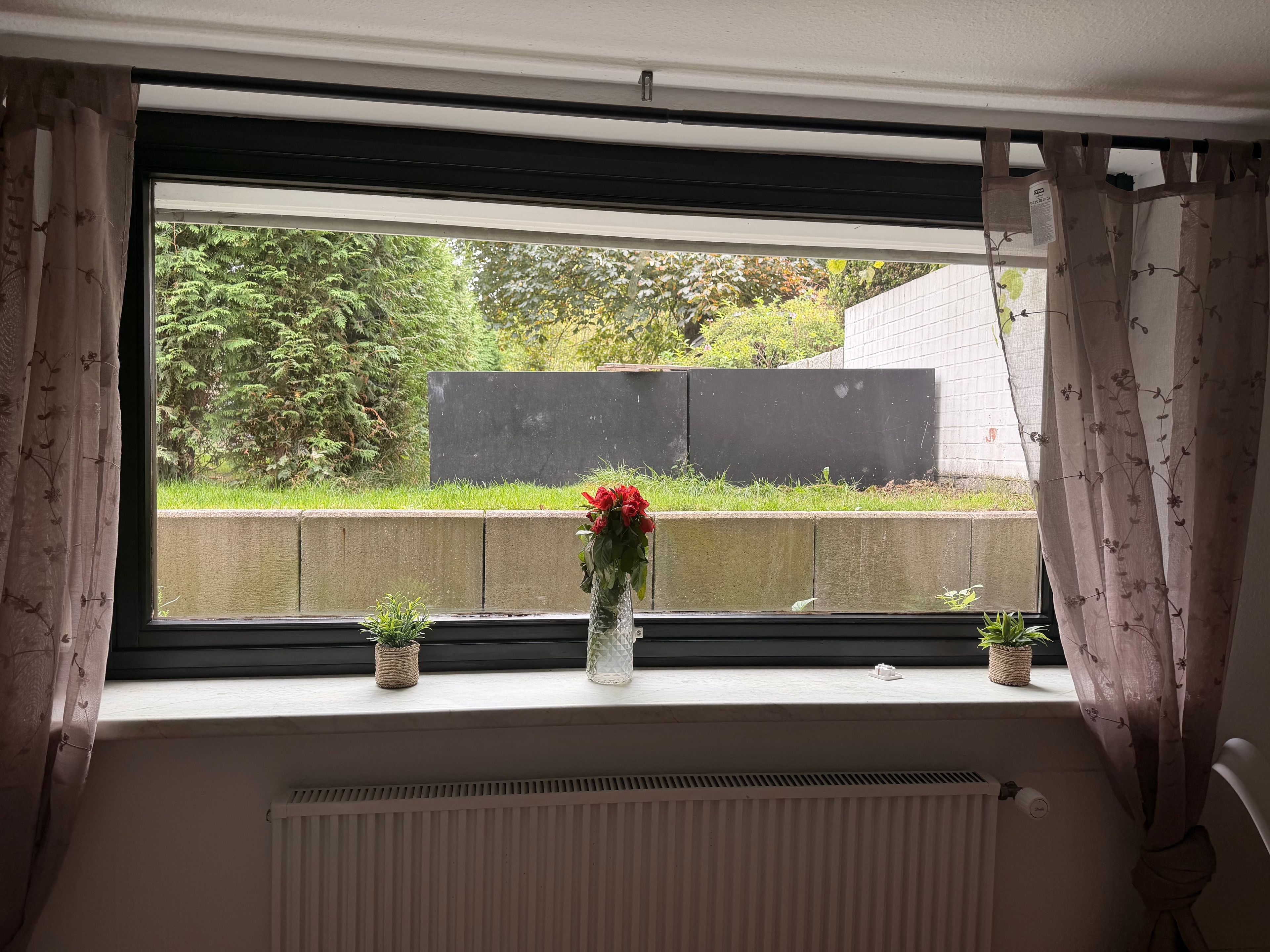 A window with a view of greenery and a concrete wall, curtains, and two potted plants on the windowsill.