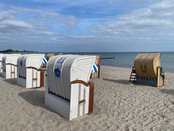 Strandstühle reihen sich auf einem Sandstrand unter blauem Himmel.
