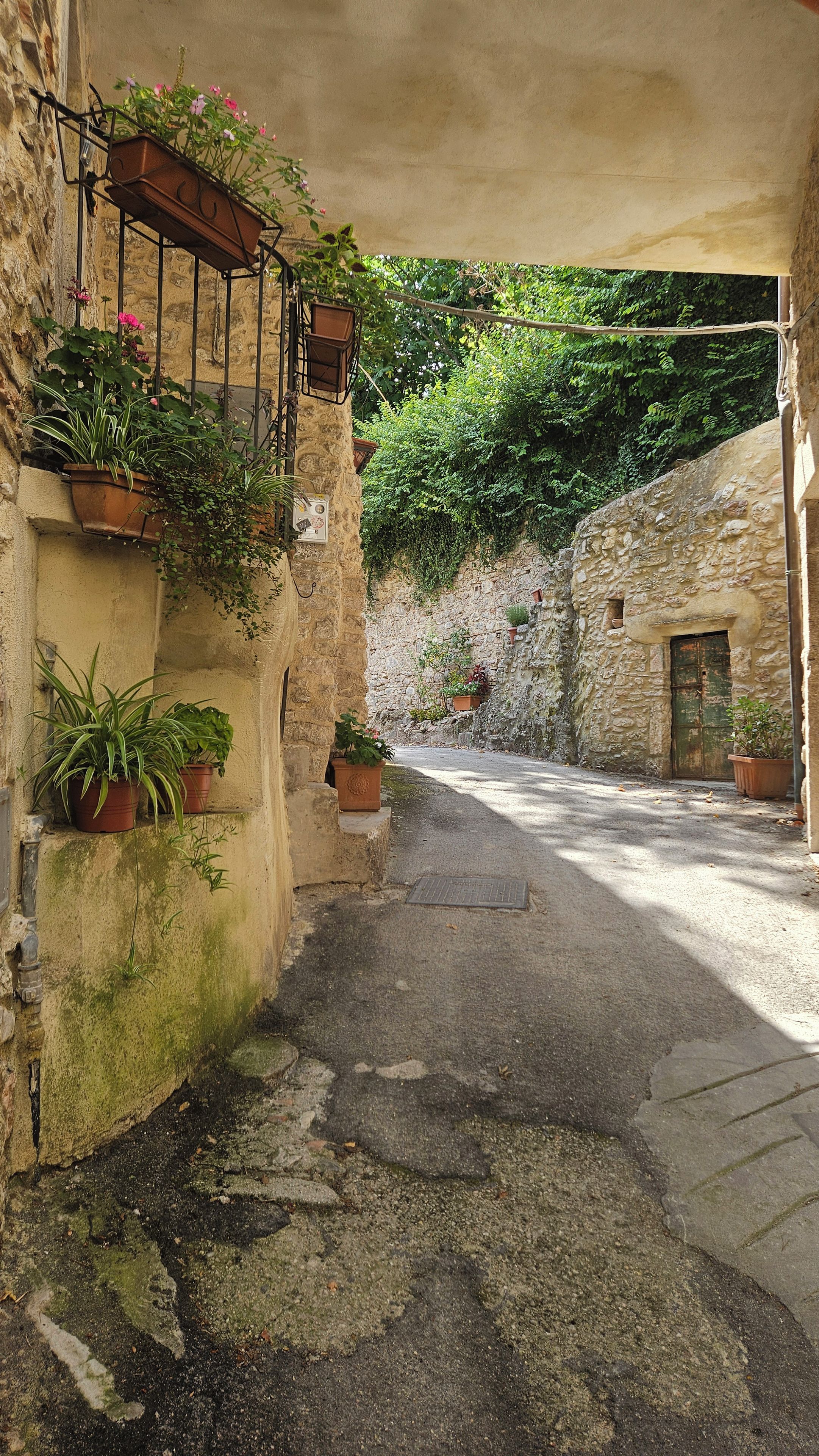 A narrow alleyway with stone walls, potted plants, and a rustic door.