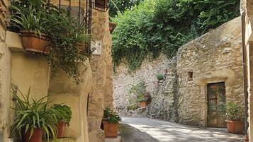 A narrow alleyway with stone walls, potted plants, and a rustic door.