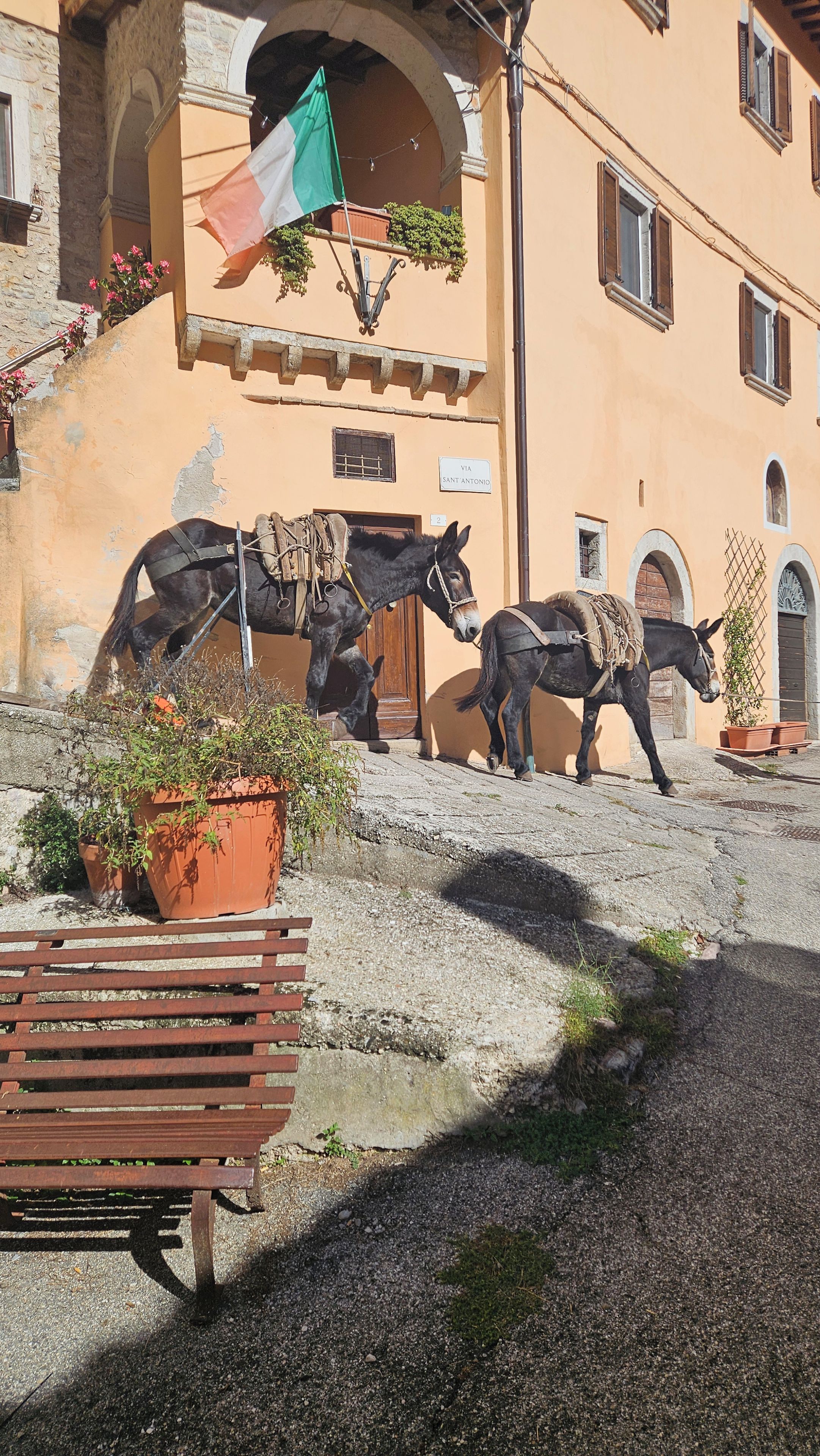 Una calle adoquinada con un banco y dos estatuas de burros.