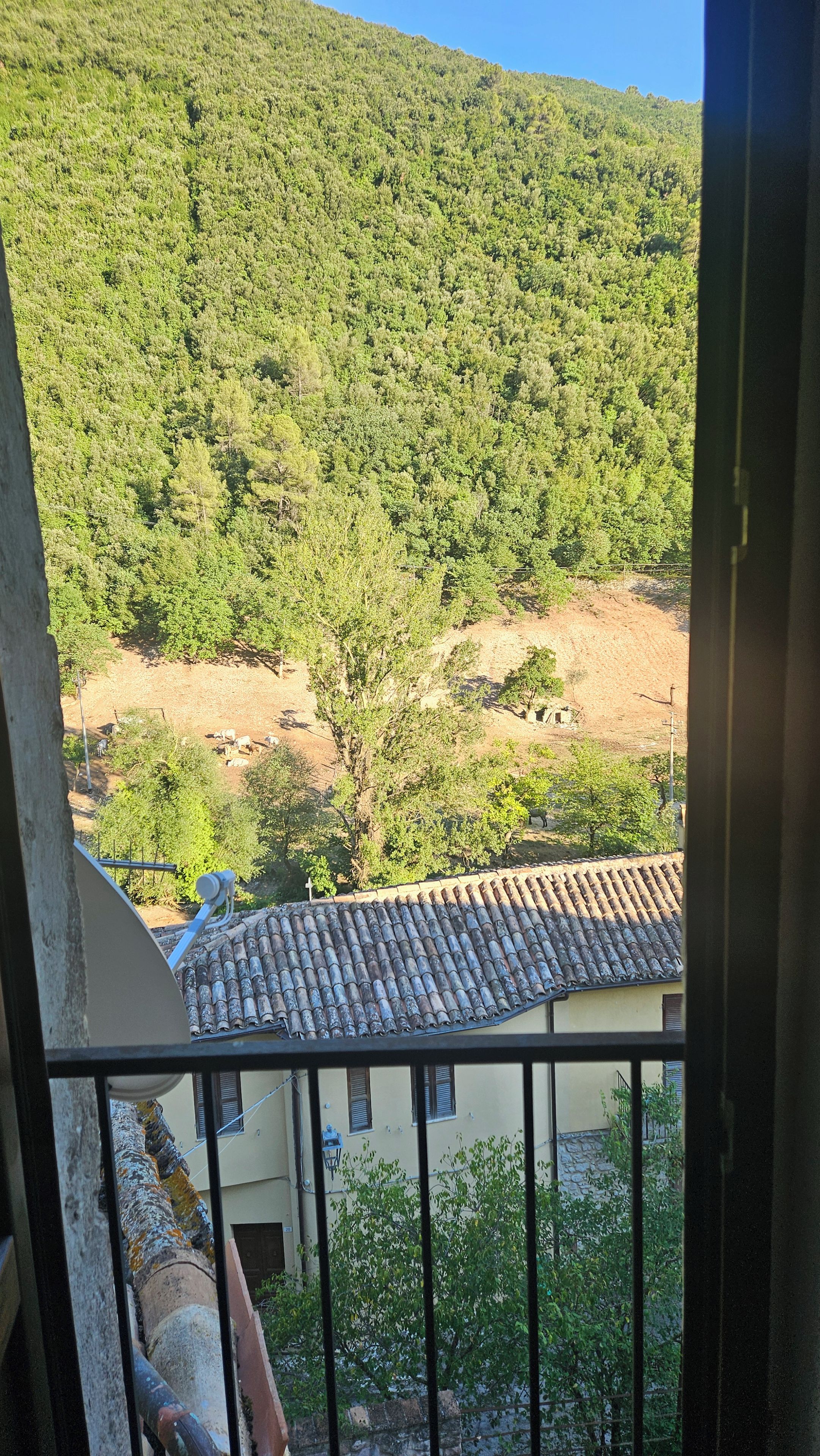 A balcony with a view of a hillside covered in greenery, a tiled roof, and a building with a yellow facade.