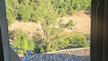 A balcony with a view of a hillside covered in greenery, a tiled roof, and a building with a yellow facade.
