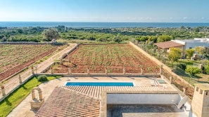 Ein Pool auf dem Dach mit Blick auf einen Weinberg und das Meer.