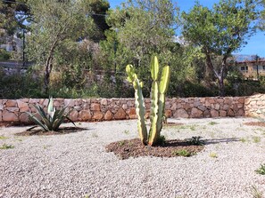 A cactus in a garden with a stone wall and trees in the background. - Apartment 'Kambusa - Pozzo Pasulo - A' with Sea View, Wi-Fi and Air Conditioning (Morciano di Leuca)