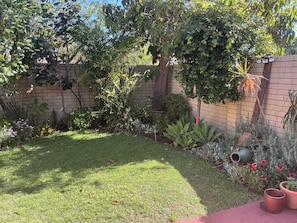 A well-maintained garden with a variety of plants and flowers, a brick wall, and a grassy lawn. - Whisper quiet South Perth oasis near zoo, river, amenities and public transport (South Perth)