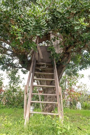 A wooden ladder leading up to a wooden structure built into a tree. - Apartment 'Villa Verney' with Sea View, Wi-Fi and Air Conditioning (Albisola Superiore)