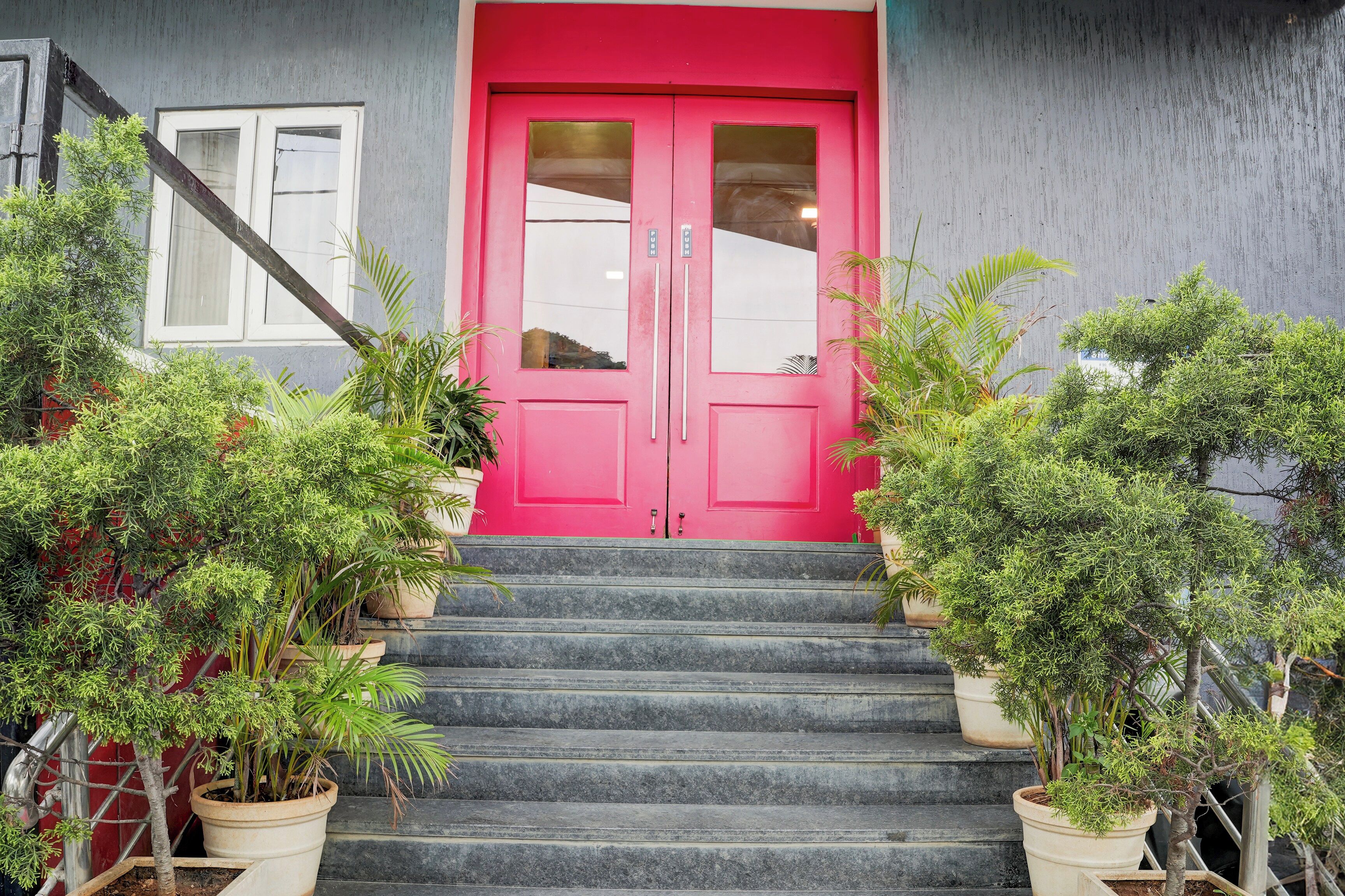 Un edificio con una puerta rosa brillante, una escalera que conduce a la entrada y macetas a ambos lados.