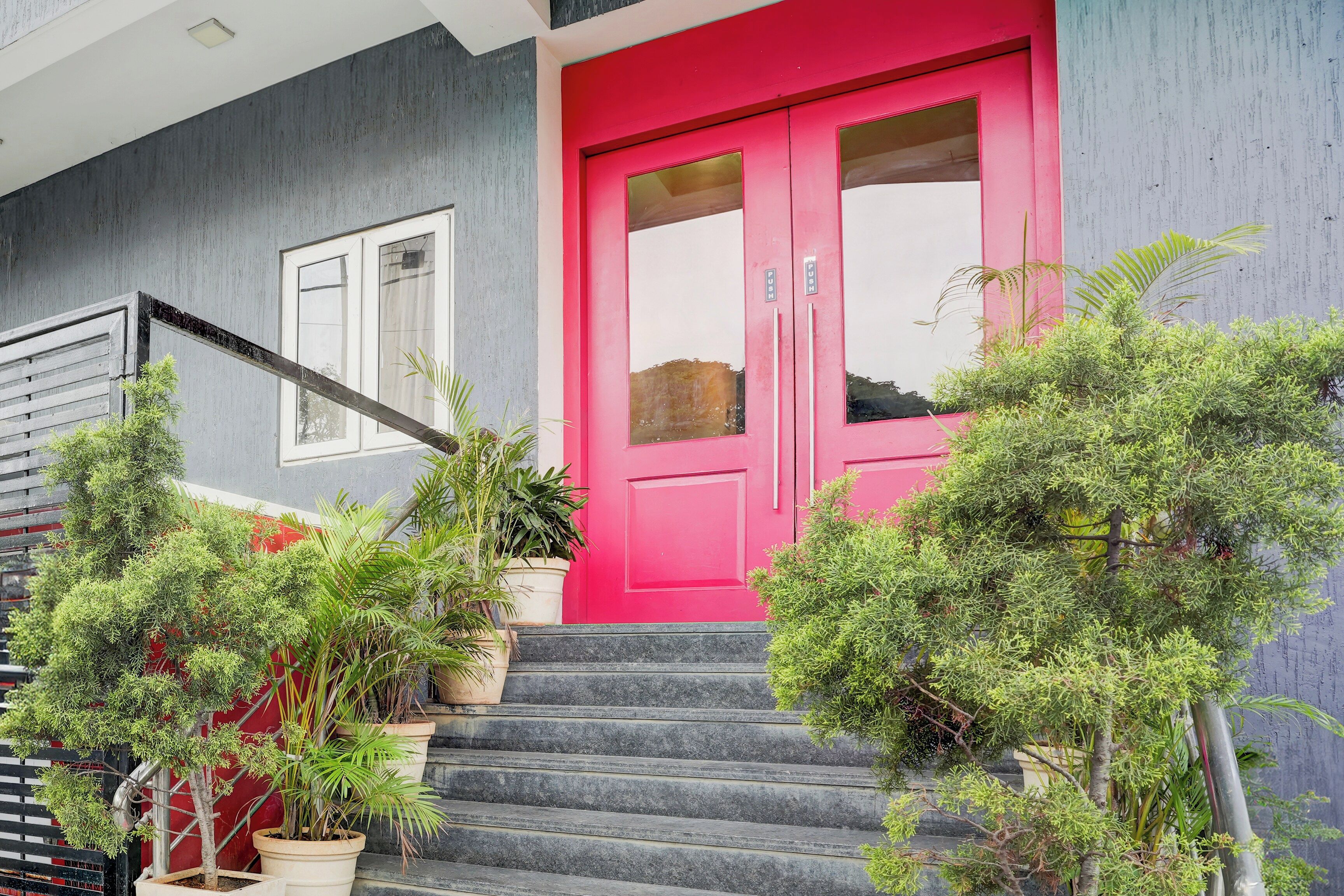 Un edificio con una puerta rosa brillante, una escalera que lleva a la entrada y plantas en macetas alrededor de los escalones.