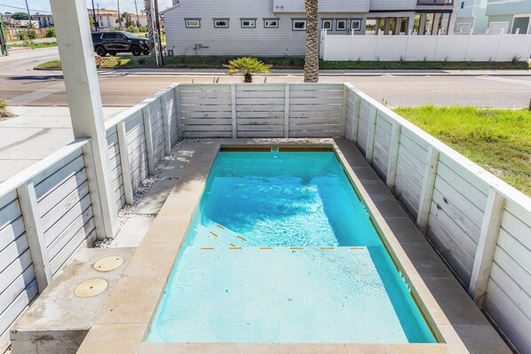 A rectangular swimming pool with a wooden fence, a palm tree, and a street view in the background.