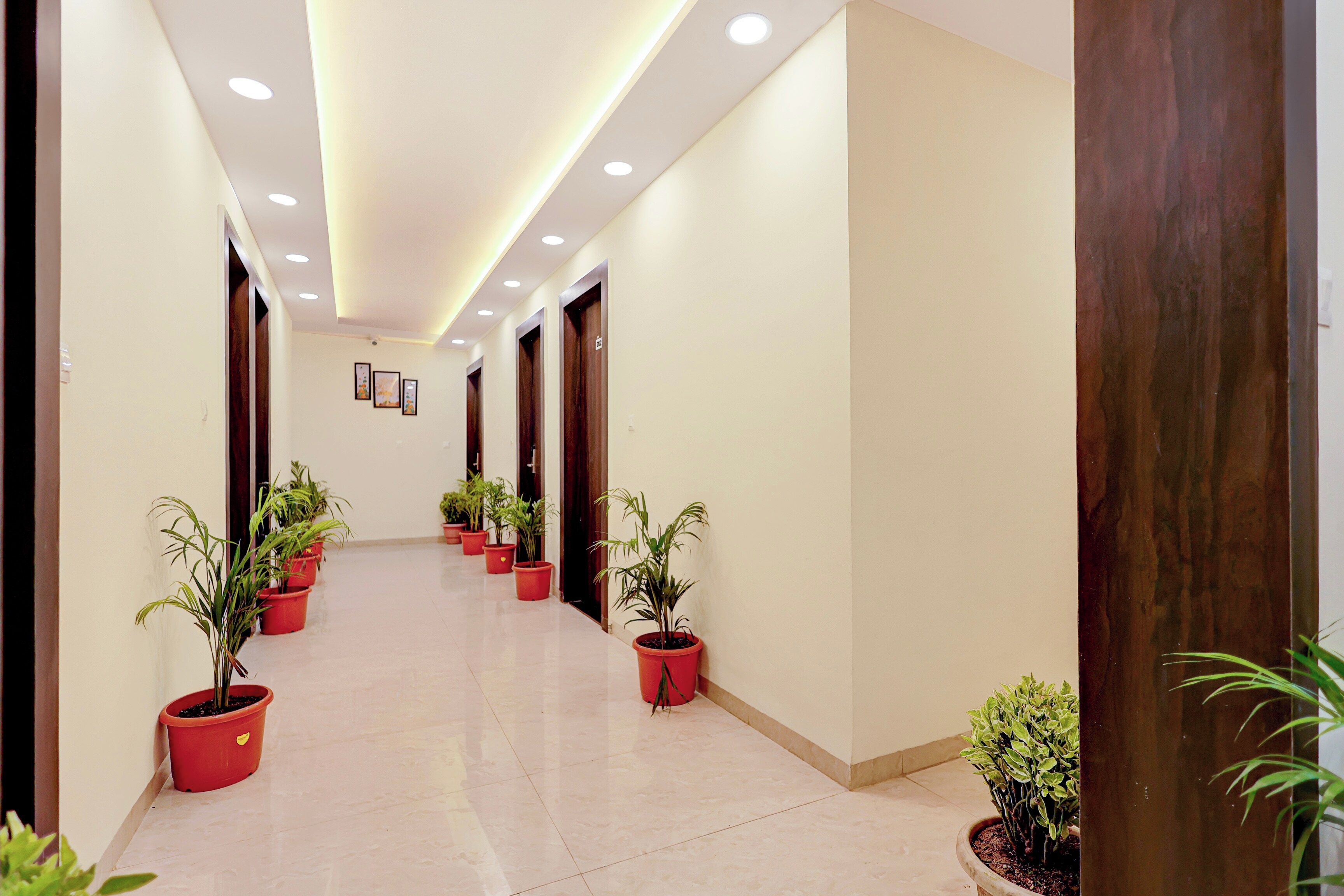 Un pasillo de hotel con varias puertas, plantas en macetas e iluminación empotrada en el techo.