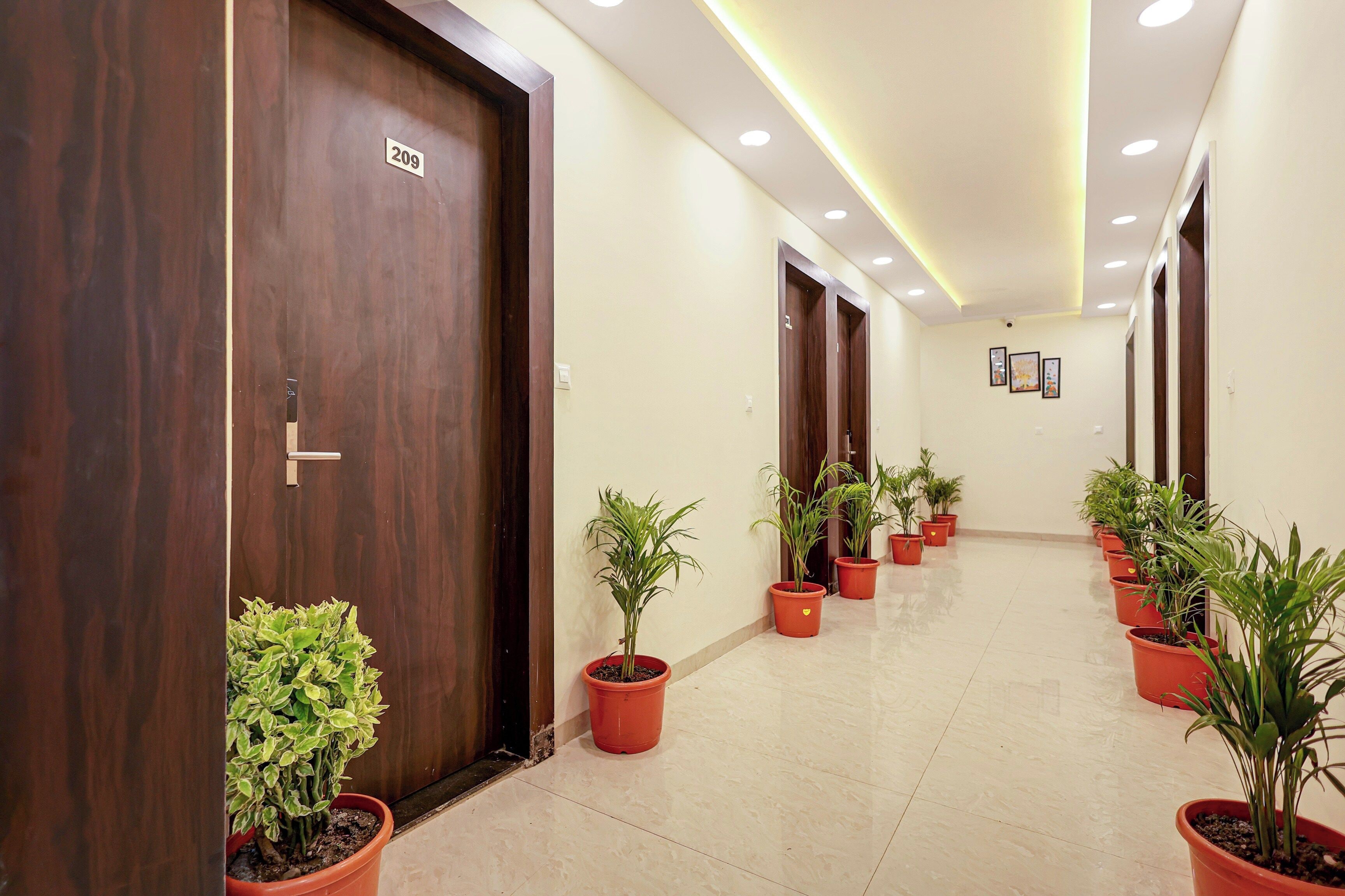 Un pasillo con puertas de madera, con el número 209, y plantas en macetas a lo largo de las paredes.