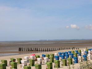 A beach with rows of beach chairs and umbrellas. - Rothtraut Remise 4 (Wyk auf Foehr)