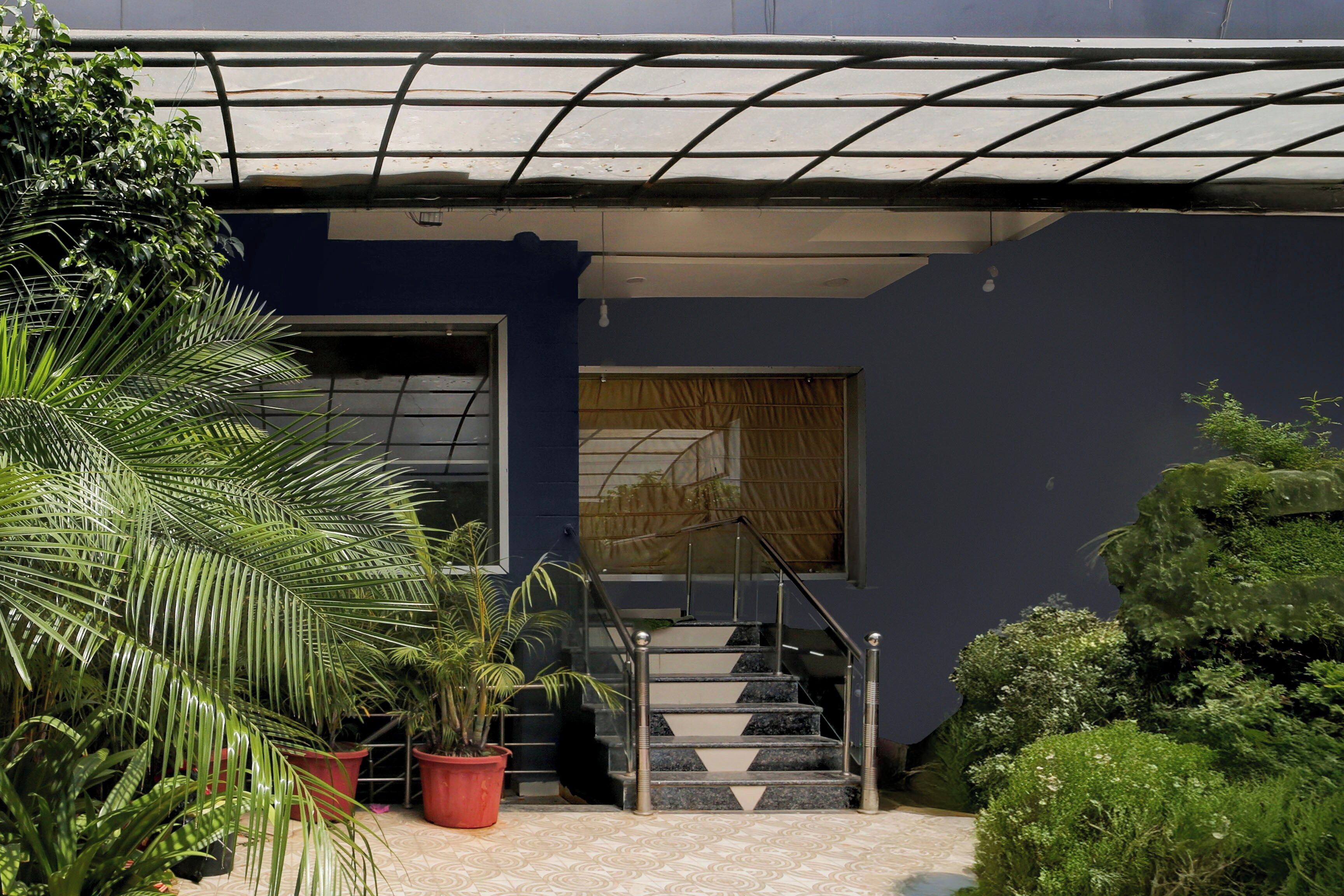 Un edificio con fachada azul, un área de entrada cubierta con plantas en macetas y una escalera que lleva a la entrada.