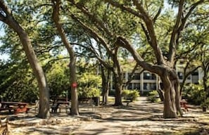 Een park met bomen, banken en picknicktafels.