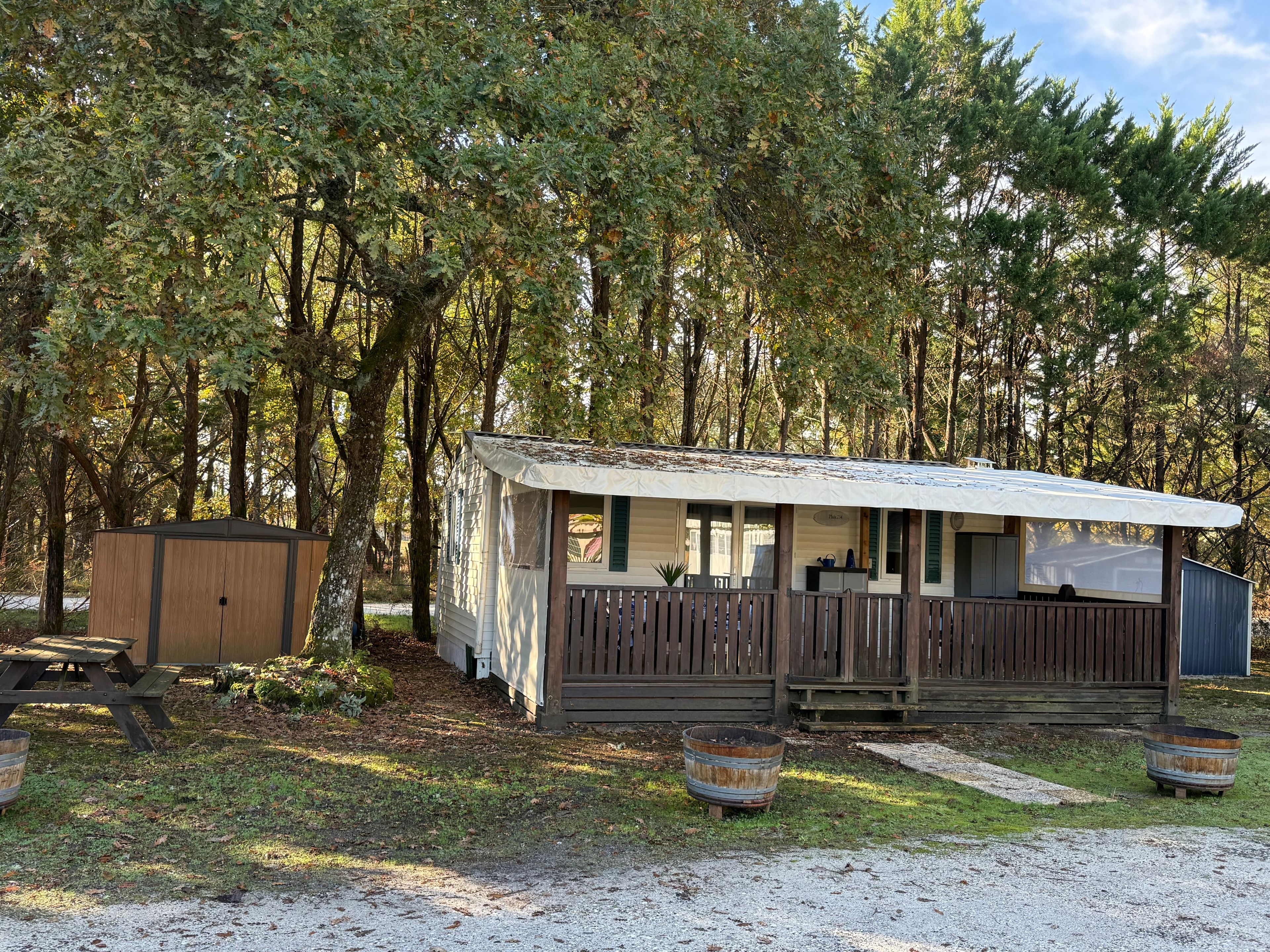 A small cabin with a porch, surrounded by trees.