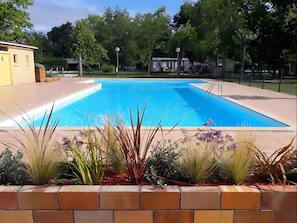 Een rechthoekig zwembad met een helderblauw wateroppervlak, omringd door een bakstenen rand en diverse planten.