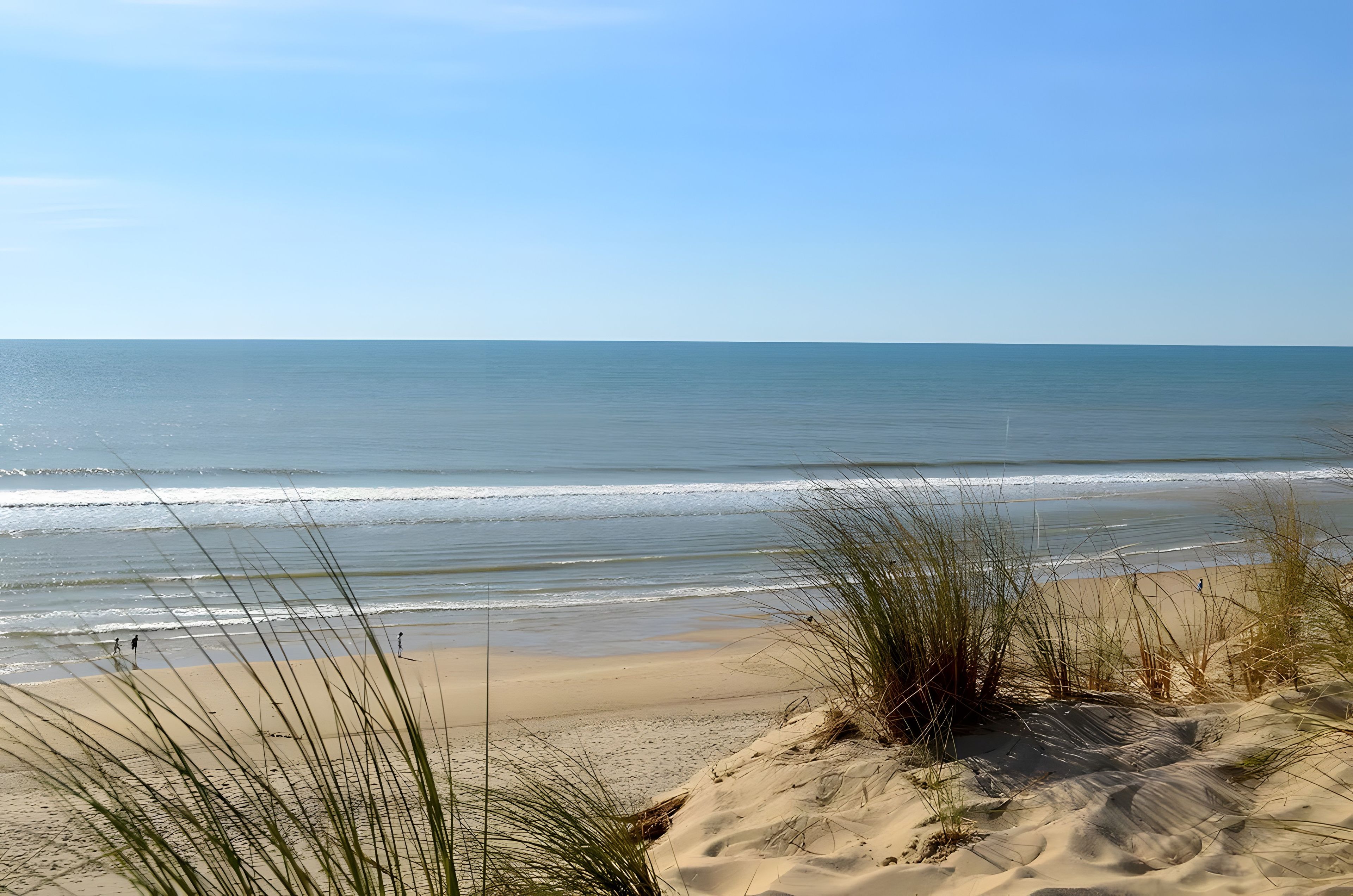 Uma praia com dunas de areia e grama ao primeiro plano.