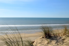 Uma praia com dunas de areia e grama ao primeiro plano.