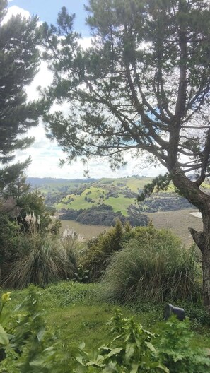 Un paysage avec un arbre imposant au premier plan, un champ herbeux et des collines douces à l’horizon.