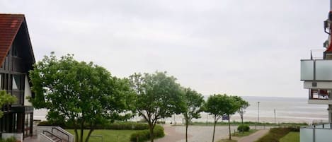 A pathway lined with trees and a building with a red roof.