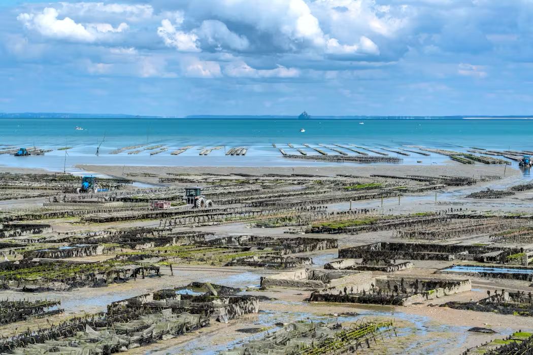 Une vaste zone côtière dotée de nombreuses plateformes de pêche et de plusieurs bateaux.