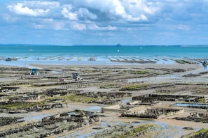 Una extensa zona costera con varias plataformas de pesca y barcos.
