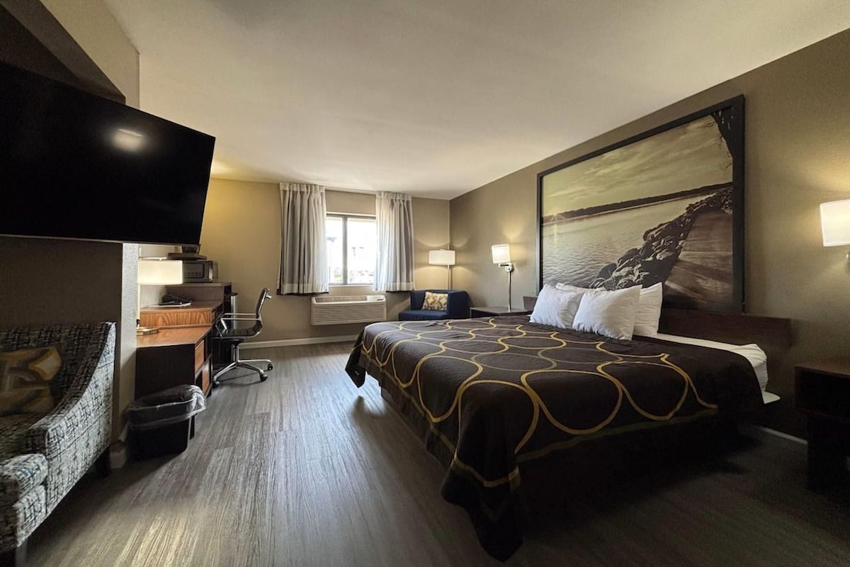 A hotel room with a large bed, a desk, a chair, a TV, and a painting on the wall.