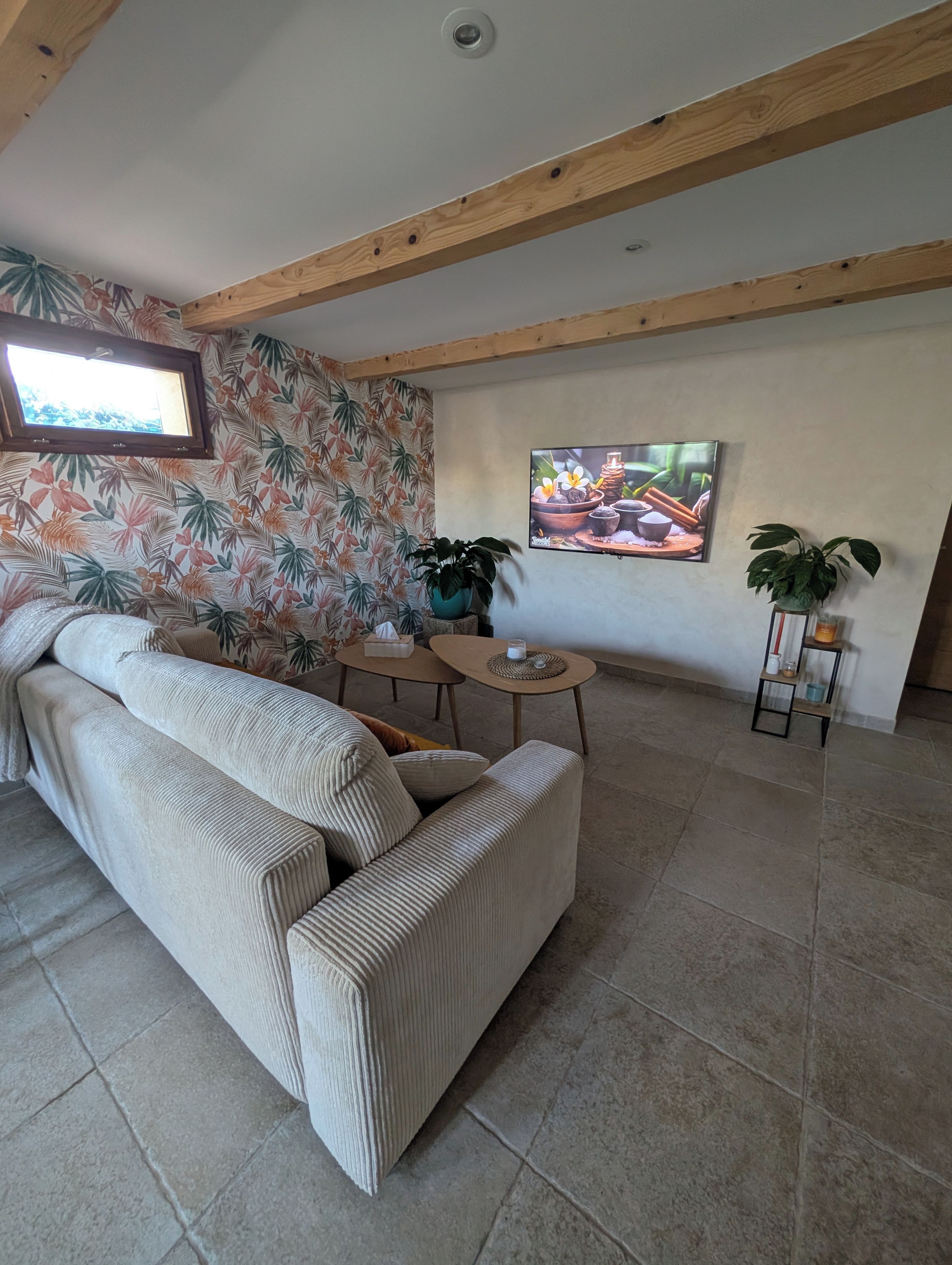 A living room with a sofa, a coffee table, a TV, and a potted plant.