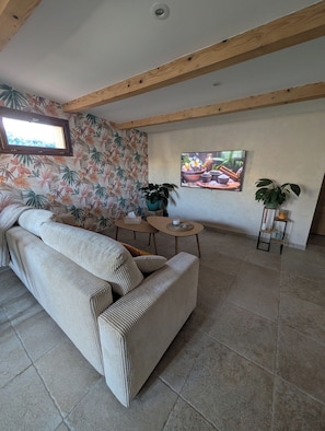 Un salon avec un canapé, une table basse, un téléviseur et une plante en pot.