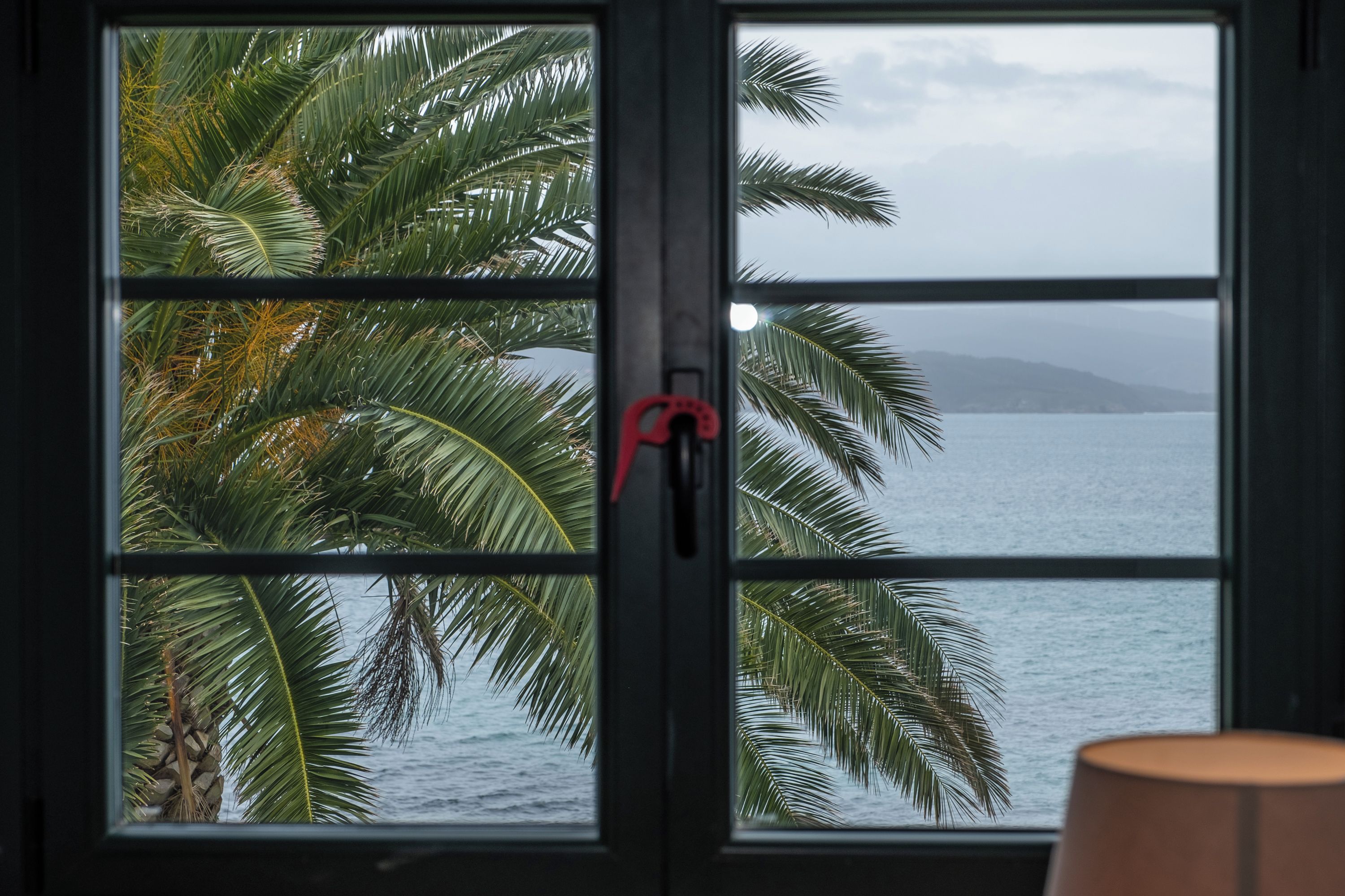 A window with a view of a body of water and palm trees.