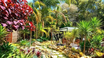 A garden with a variety of plants, a seating area with chairs, and a small structure.